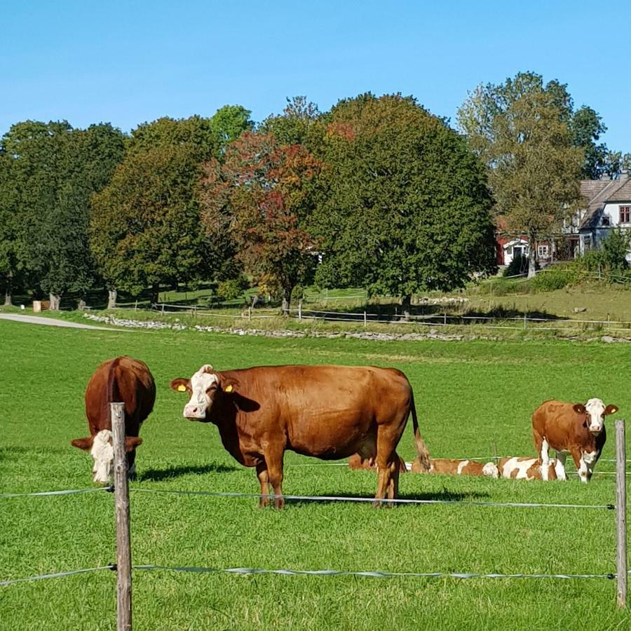 1800-Tals Torp I Landsbygd Nara Till Allt Värnamo Exteriér fotografie