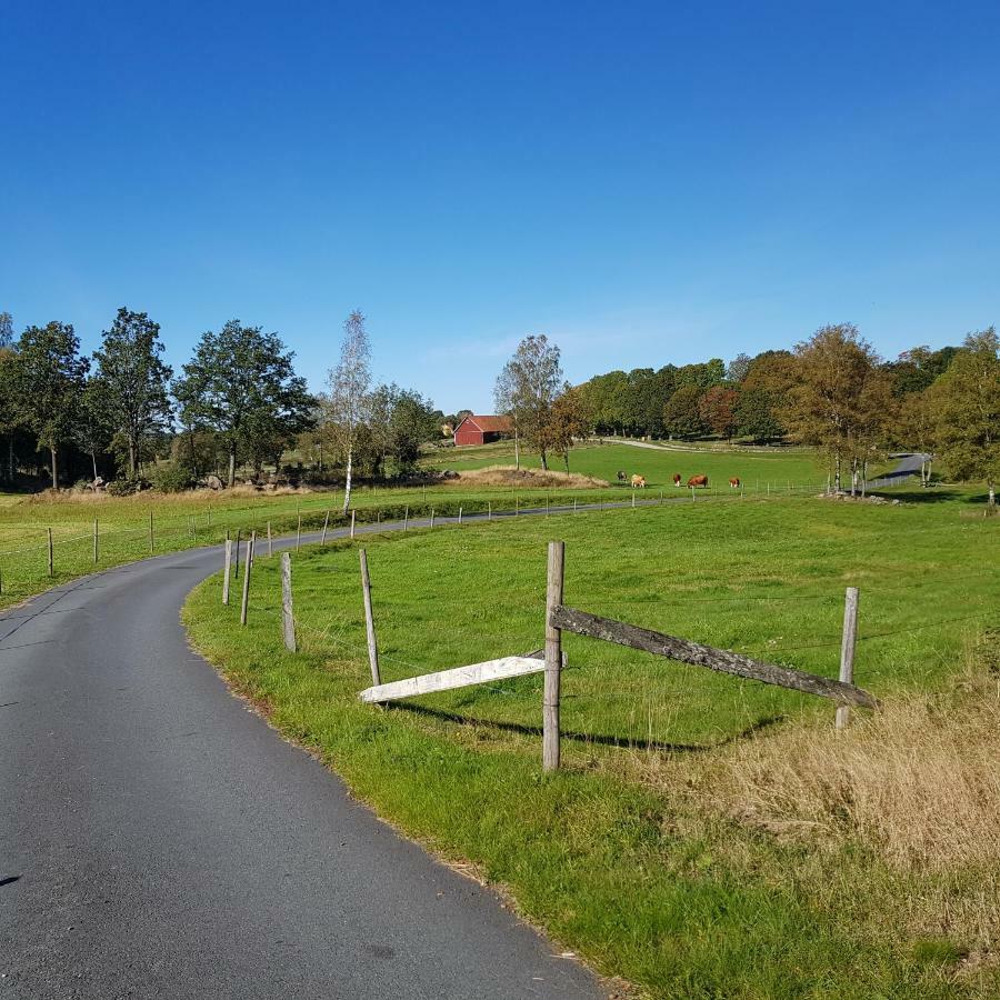 1800-Tals Torp I Landsbygd Nara Till Allt Värnamo Exteriér fotografie